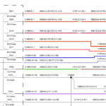 Land Rover Freelander 2 (2008) – Wiring Diagrams